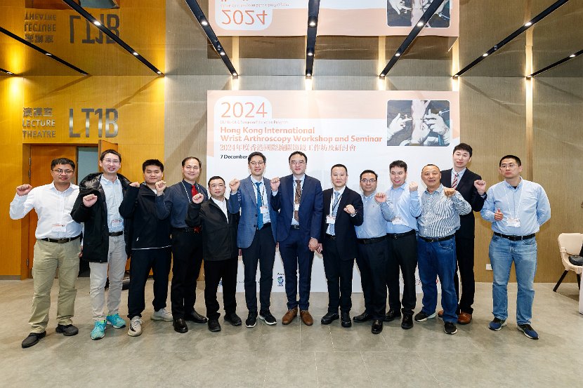 HK Wrist Course 2024- Seminar  - 127 of 257